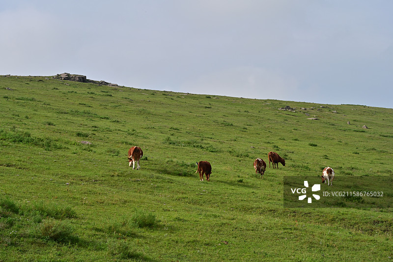 乌兰察布红石崖草原图片素材