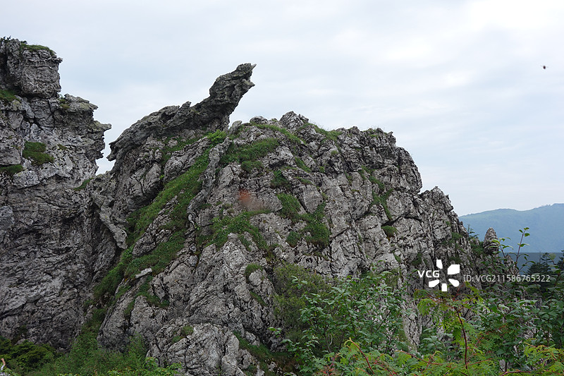 湖北省神农架林区板壁岩景区：雏凤待哺图片素材