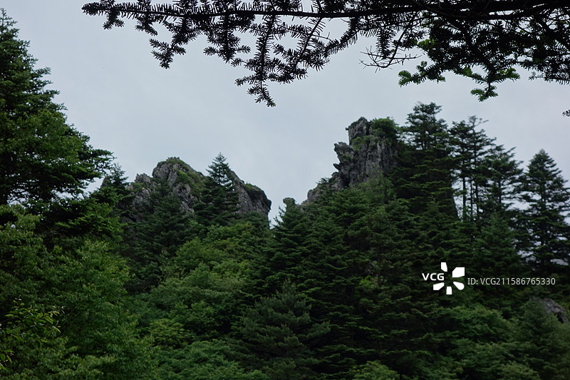 湖北省神农架林区板壁岩景区：金蛇戏玉兔图片素材