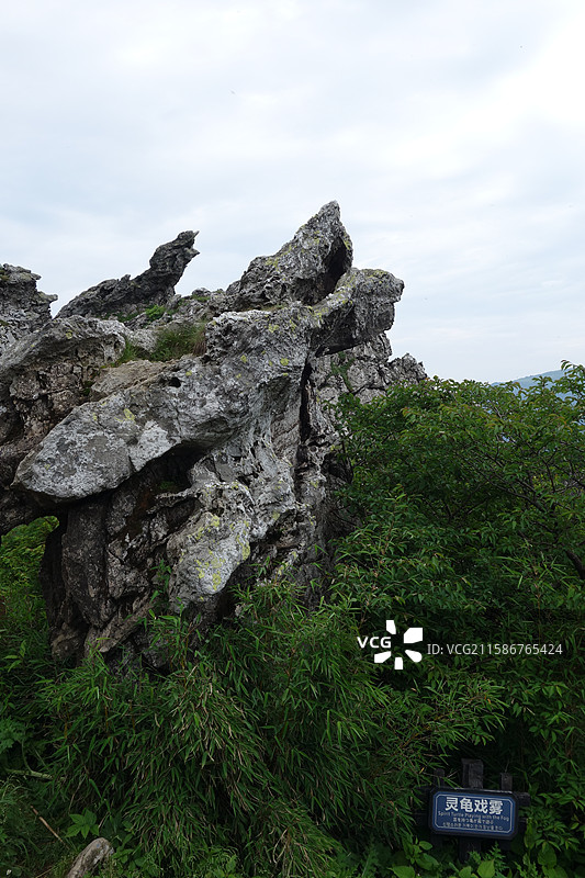 湖北省神农架林区板壁岩景区：灵龟戏雾图片素材