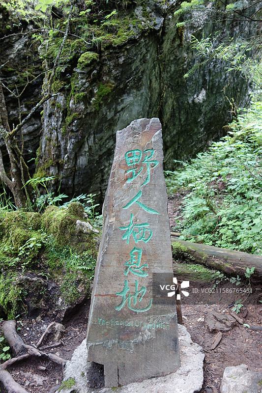 湖北省神农架林区板壁岩景区：野人栖息地图片素材