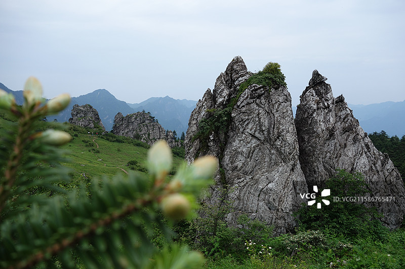 湖北省神农架林区板壁岩景区：火炬石图片素材