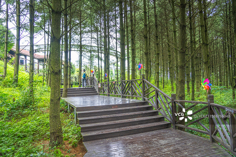 贵州 六盘水 野玉海国家级旅游度假区 观光小火车 千户彝寨图片素材