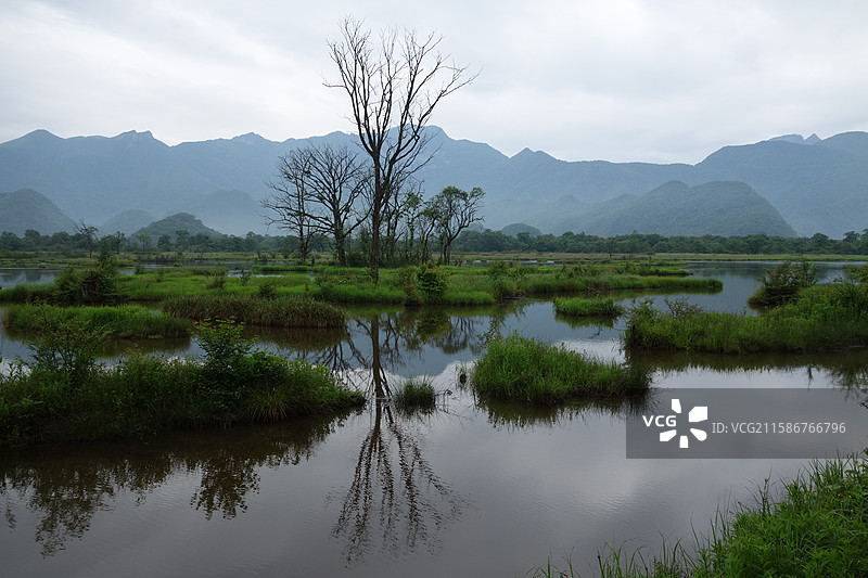 湖北省神农架林区大九湖湿地：五号湖图片素材