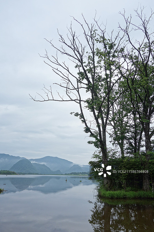 湖北省神农架林区大九湖湿地：五号湖图片素材
