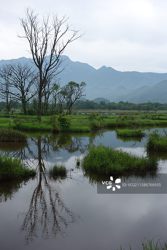 湖北省神农架林区大九湖湿地：五号湖图片素材