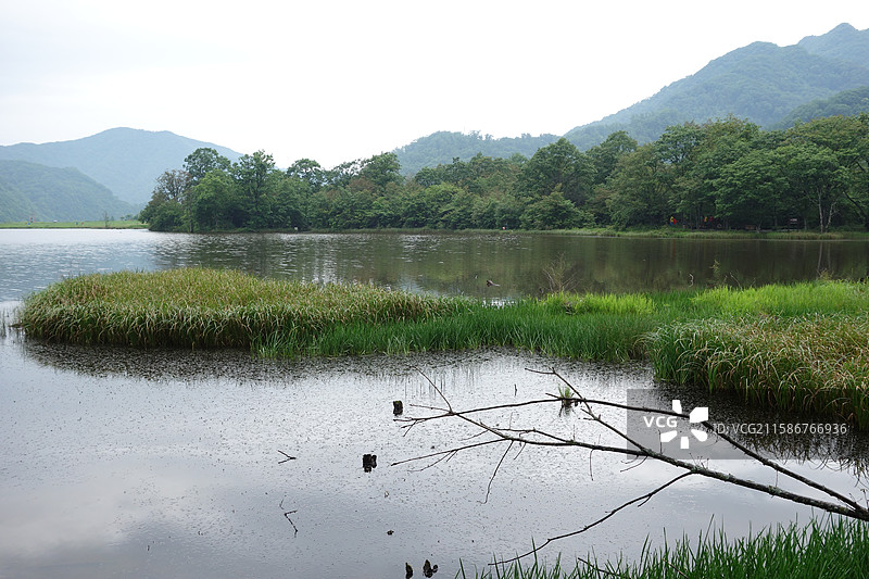 湖北省神农架林区大九湖湿地：五号湖图片素材