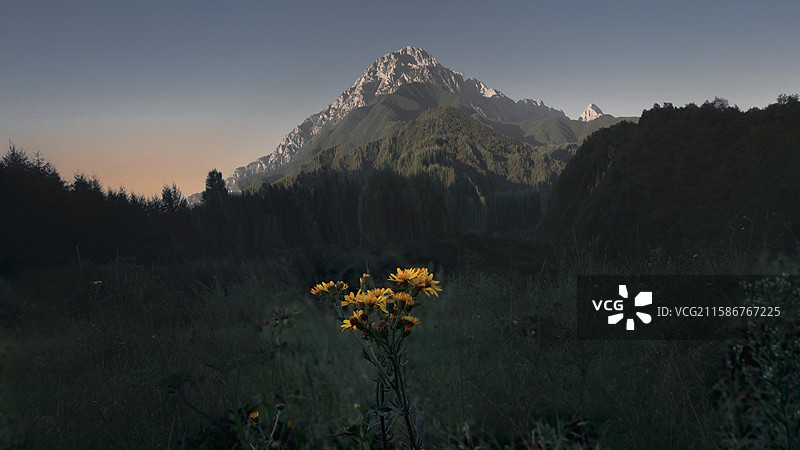 临夏太子山图片素材