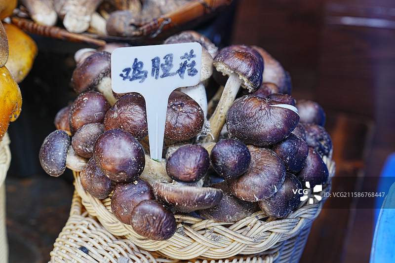 鸡腿菇野生菌野生蘑菇图片素材
