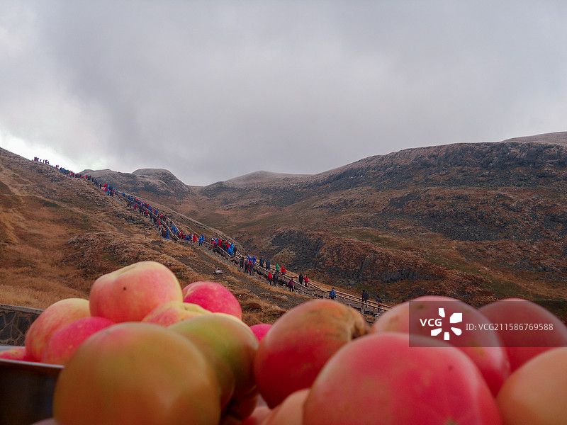 山间小径旁的苹果堆图片素材