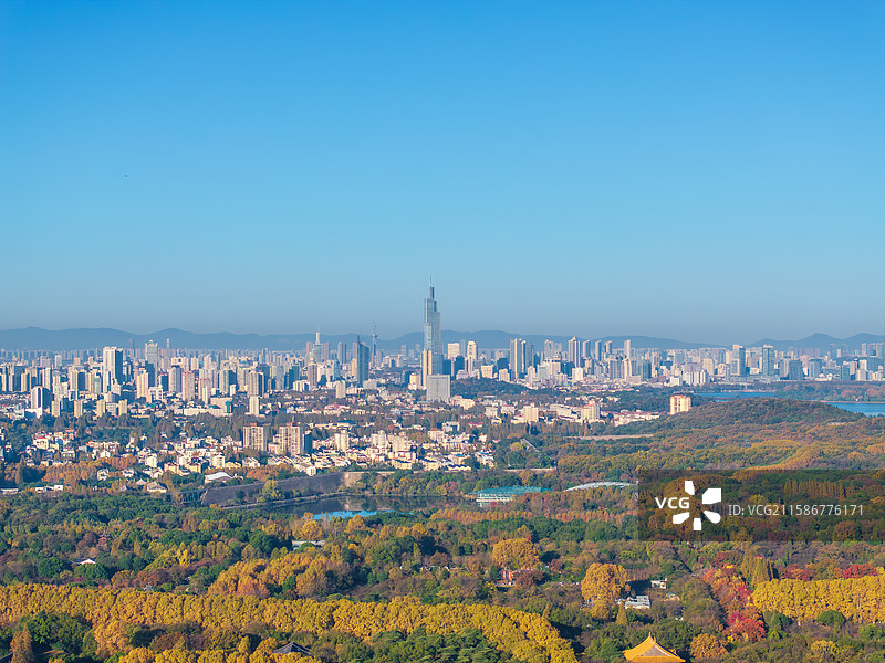南京地标 秋天 紫峰大厦 钟山 风景区图片素材