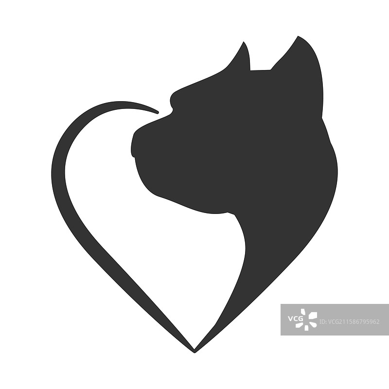 美国斯塔福德郡梗图片素材