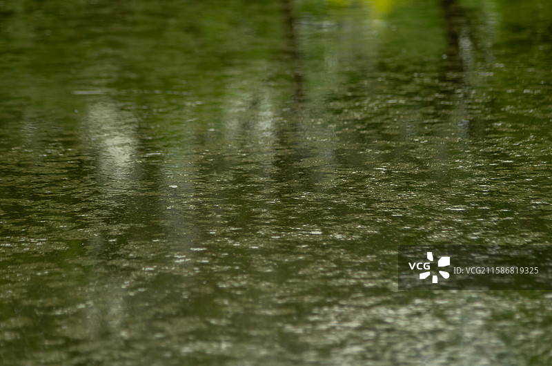 池塘，水池中的漂浮物，泥皮图片素材