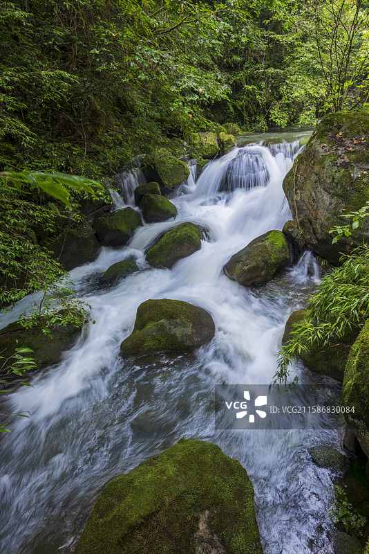 国家森林公园湖北利川佛宝山景区风光图片素材