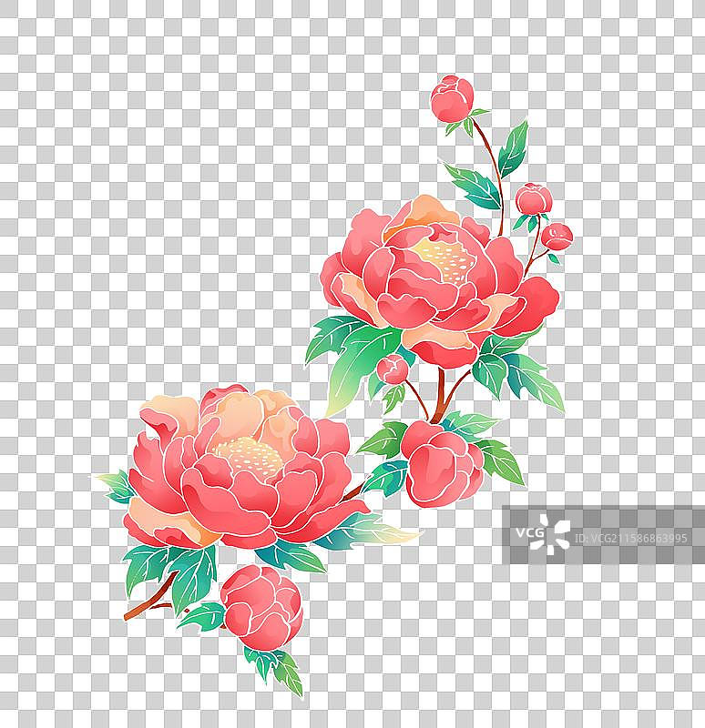 牡丹花国风插画元素图片素材