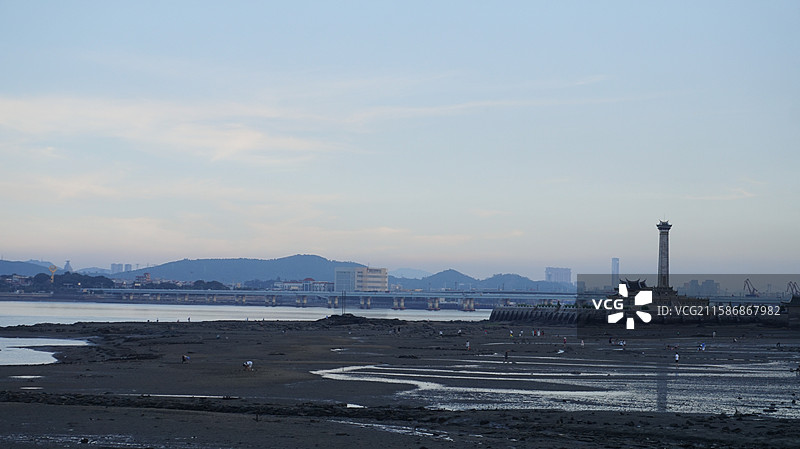 退潮后的厦门市嘉庚公园附近海滩图片素材