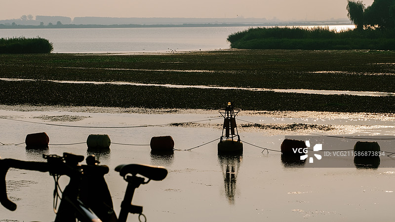 早上逆光拍摄到湖面金色波光的剪影图素材图片素材