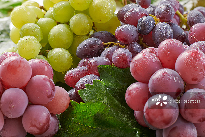 葡萄图片素材