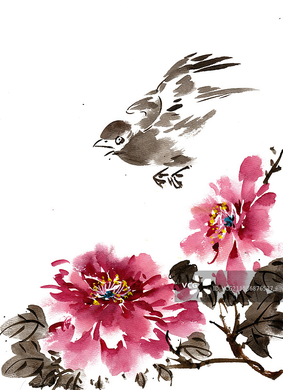 牡丹与飞鸟图片素材