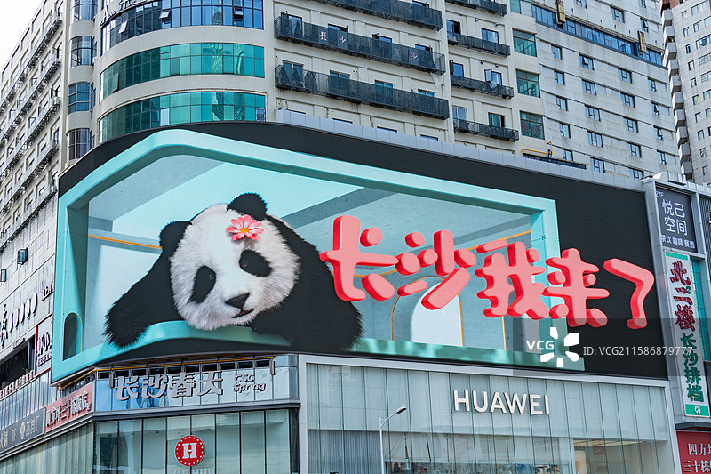 湖南长沙五一广场熊猫主题大屏城市街景图片素材