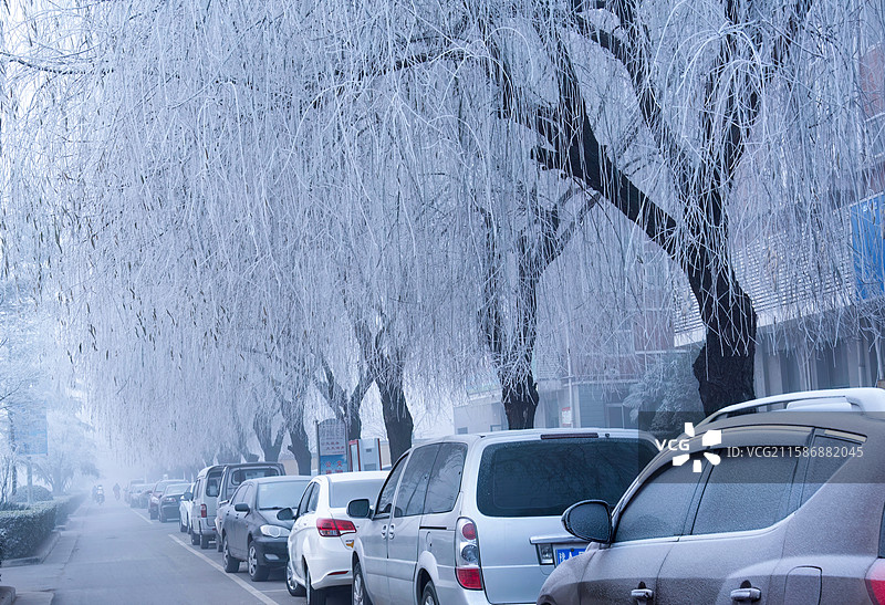 河南省郑州市荥阳市难得一见的街头雾凇景观图片素材