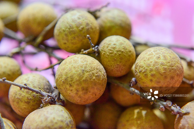 热带水果果实新鲜水果桂圆肉桂圆龙眼图片素材