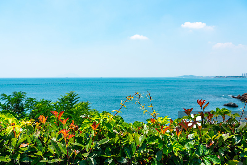 海边风景与植物景观图片素材