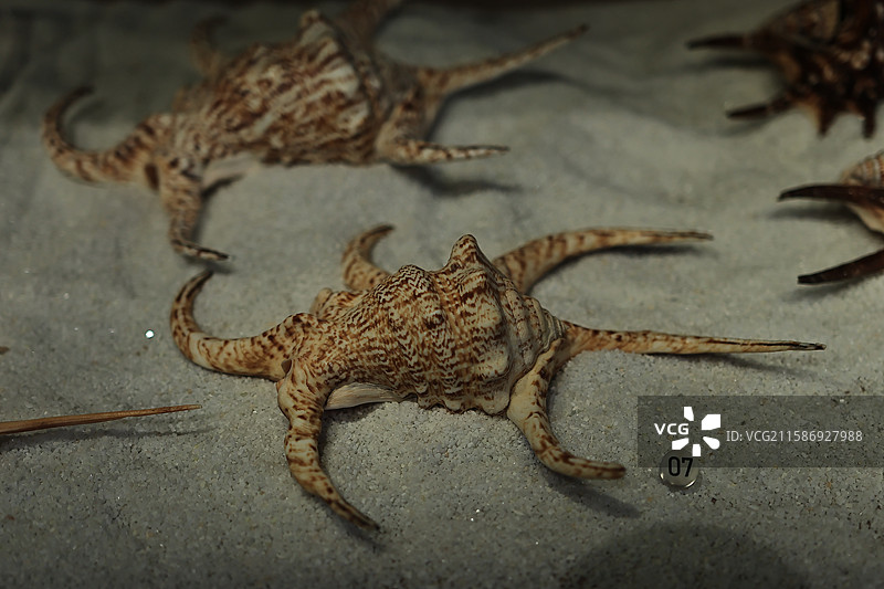 宁波帮博物馆图片素材