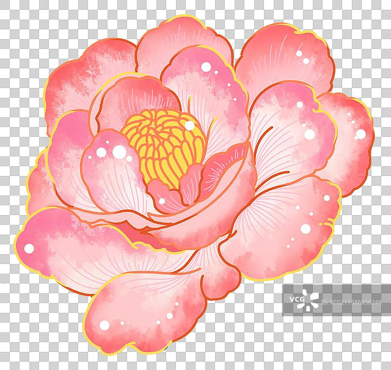 老树茶花春天发芽免扣图插画图片素材