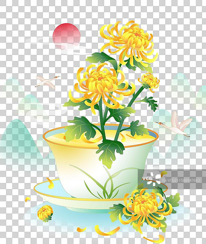 中国传统茶文化 菊花茶图片素材