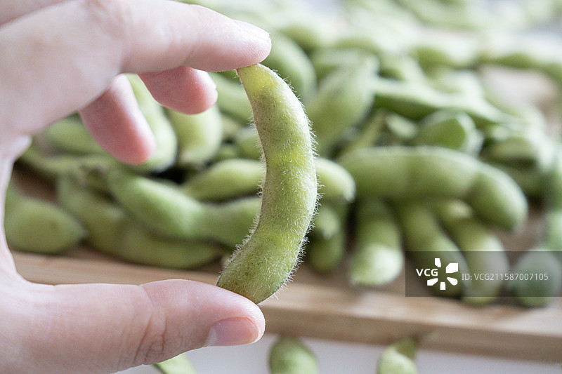 拿在手中的带壳毛豆特写图片素材