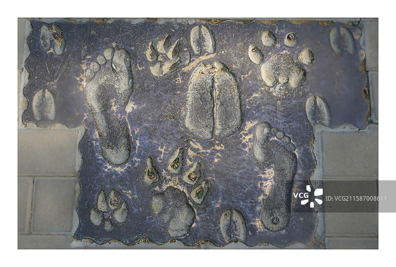 脚印: 拍摄于郑州文化广场图片素材