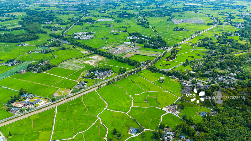 天府粮仓国家现代农业产业园水稻成都崇州图片素材