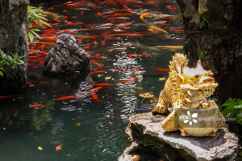 佛山祖庙博物馆锦鲤池假山上的金色麒麟图片素材