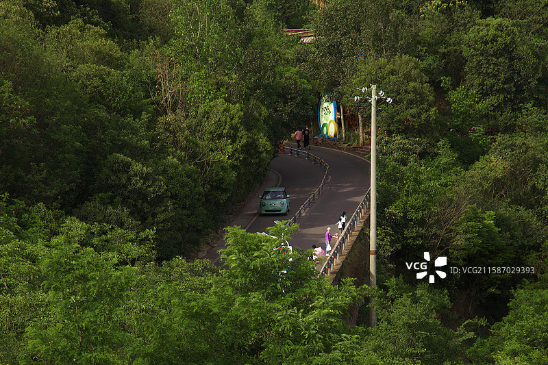 林间林间公路的高角度视野图片素材