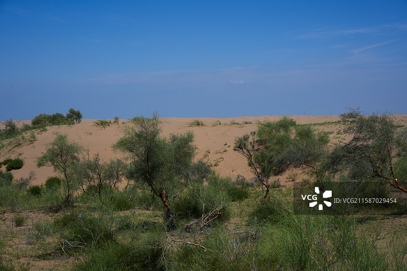 草原沙丘过渡带图片素材