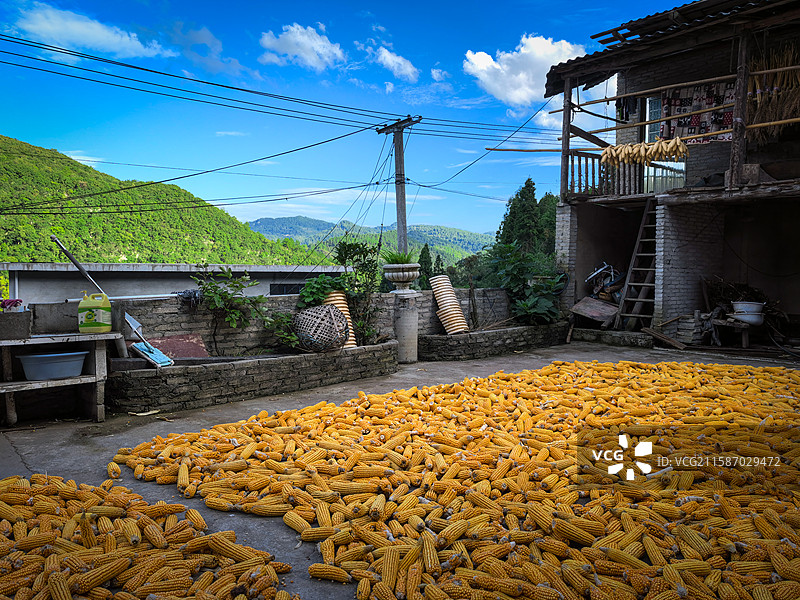 晒丰收图片素材