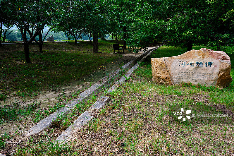 北京植物园河墙烟柳Diversion canal in Beijing Botanical GDN图片素材