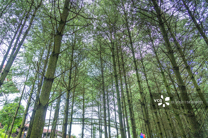 六盘水 野玉海国家级旅游度假区 观光小火车 贵州图片素材