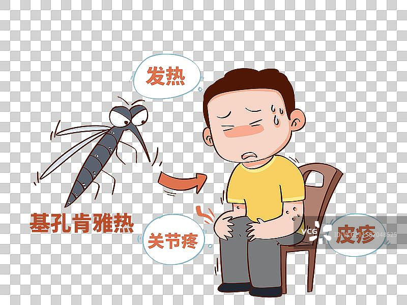 通过蚊子传播的病毒基孔肯雅热疾病图片素材