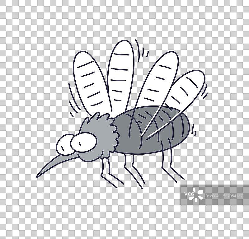 蚊子，飞虫，蚊虫叮咬图片素材