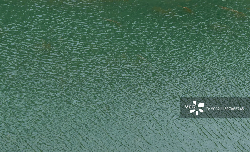 碧绿的潭水特写，波纹，水底，水草图片素材
