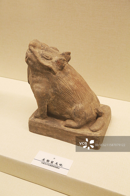 唐代 灰陶望天吼 内蒙古兴安博物馆图片素材