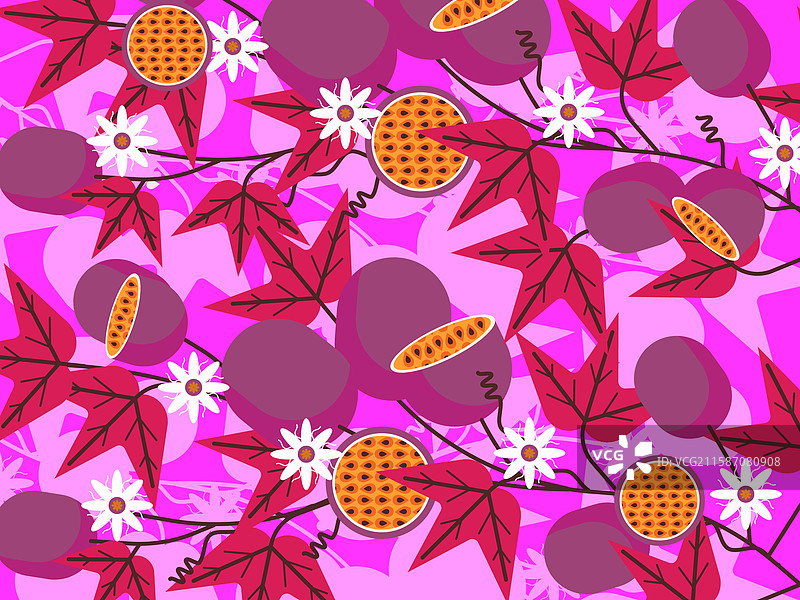 格兰达果图片素材