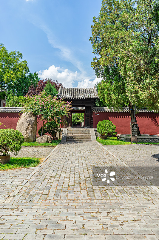 中国山东泰安著名景点泰山旅游风景区，岱庙行宫沧桑而高大的汉代柏树和中式庭院环境，户外白昼无人图像摄影图片素材