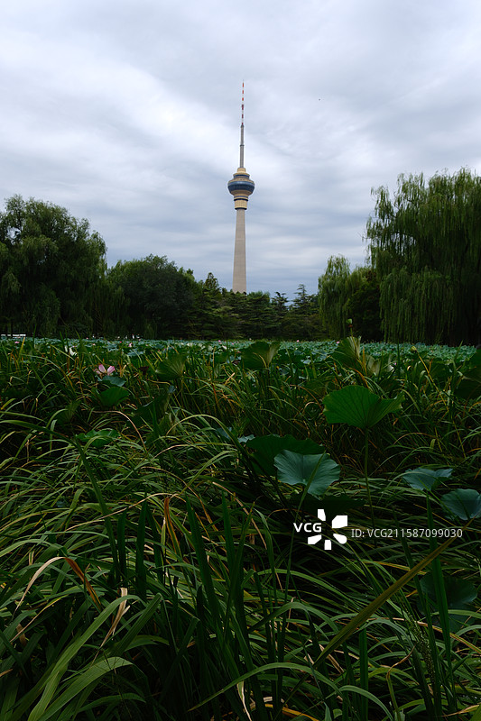北京中央电视塔在玉渊潭公园的湖边拍摄图片素材