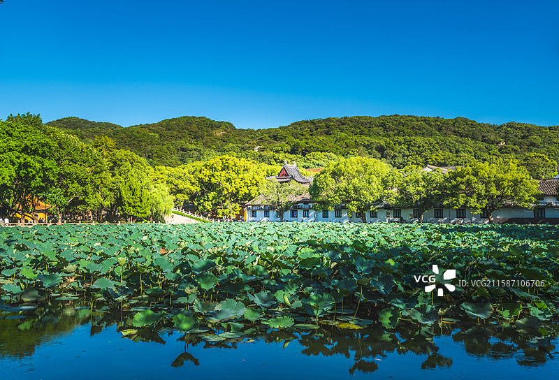 普陀山普济寺海印池图片素材