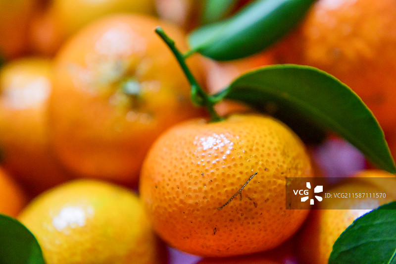 新鲜水果橘子橙子图片素材