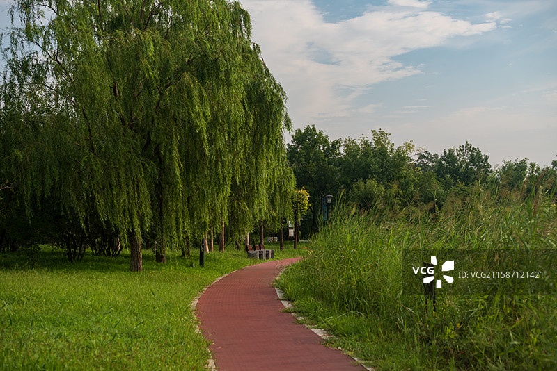 天津水西公园图片素材