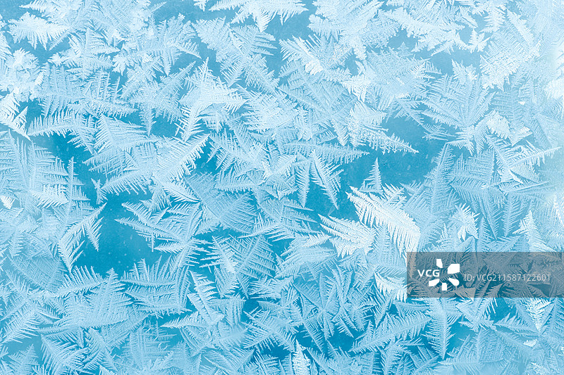 冰窗花全帧特写，抽象图案设计创造艺术，素材背景，蓝色寒冷图片素材